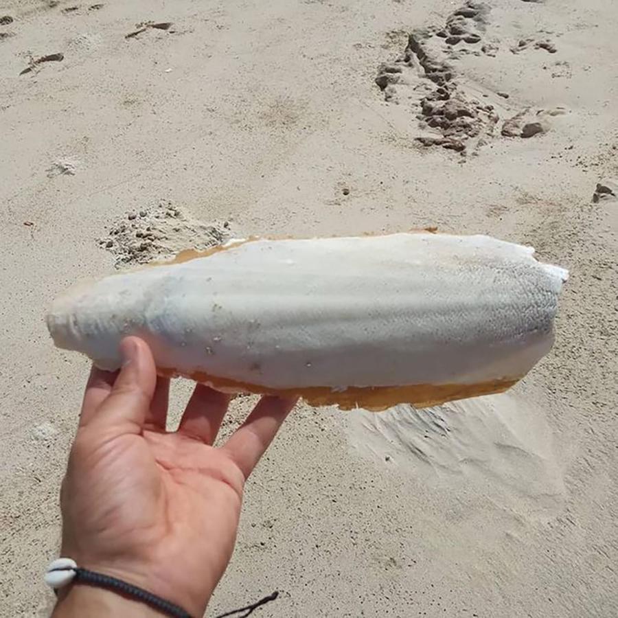 Vilas Na Areia Aparthotel Sal Rei Exterior foto