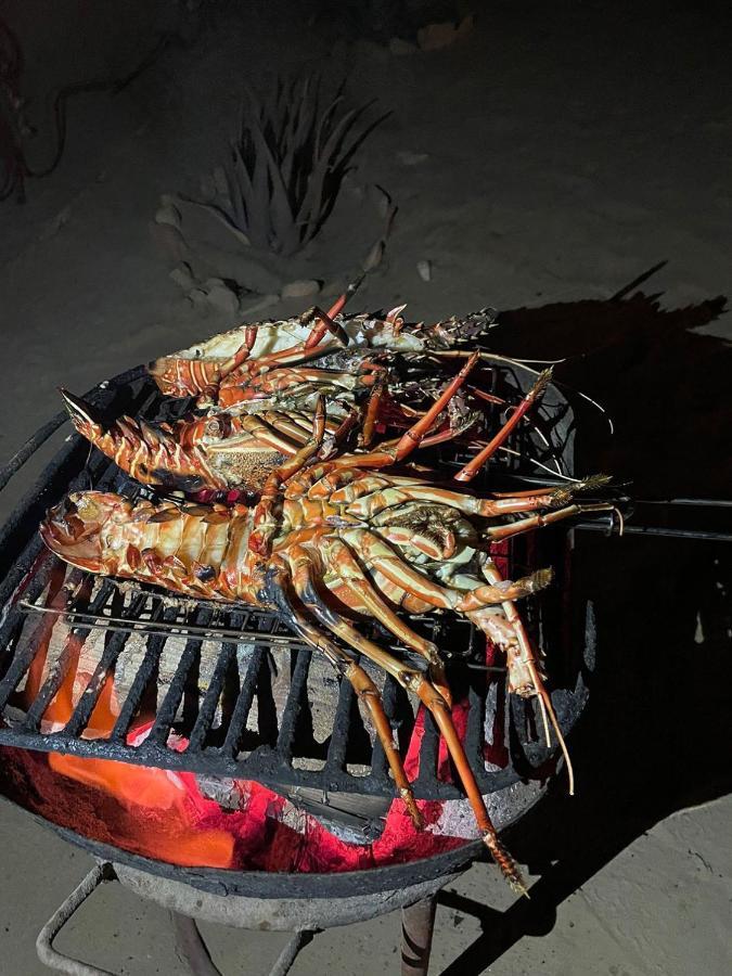 Vilas Na Areia Aparthotel Sal Rei Exterior foto