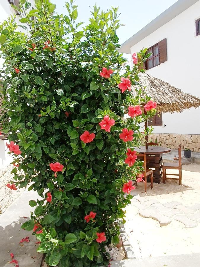 Vilas Na Areia Aparthotel Sal Rei Exterior foto